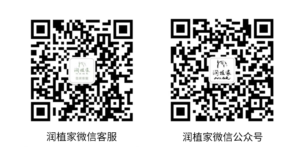 【润植家如印奏章楷】像传统小楷写的奏章,直排横排都漂亮