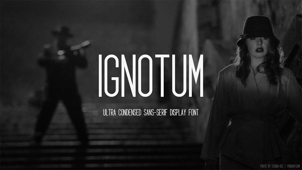 【Ignotum】SIL OFL免费英文字体, 2 种样式和 308 个字形