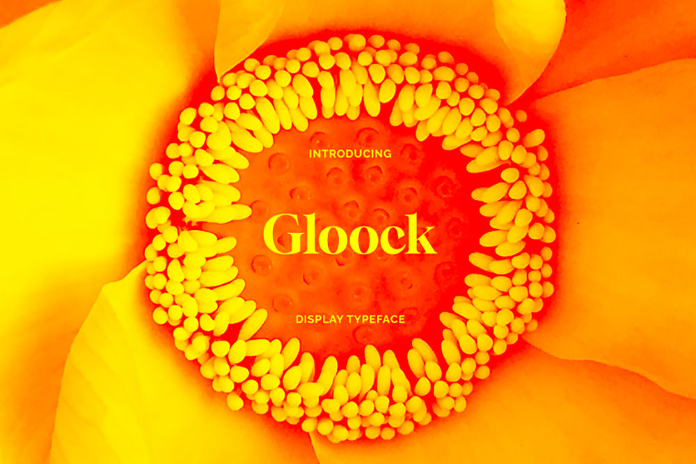 【Gloock】一种现代的高对比度英文衬线字体