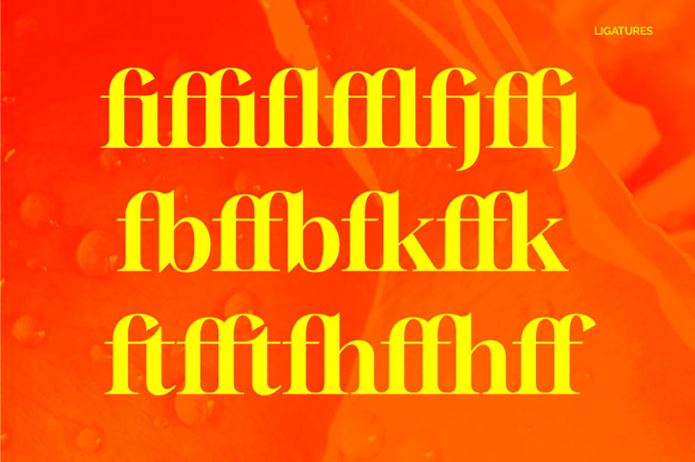 【Gloock】一种现代的高对比度英文衬线字体