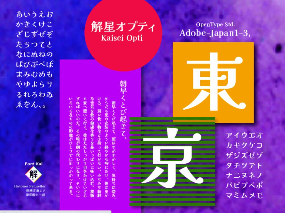 【解星系列字体】比传统明朝风格更粗,电子媒体可读性更佳