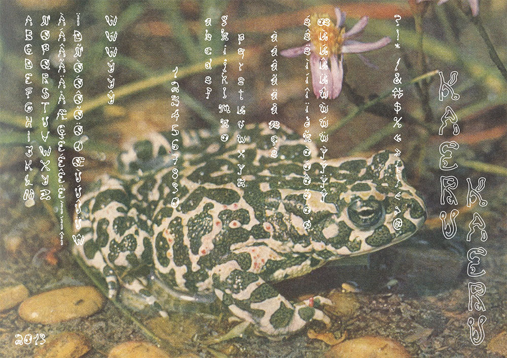 【kaeru kaeru】灵感来自箭毒蛙与日本木刻画的字体