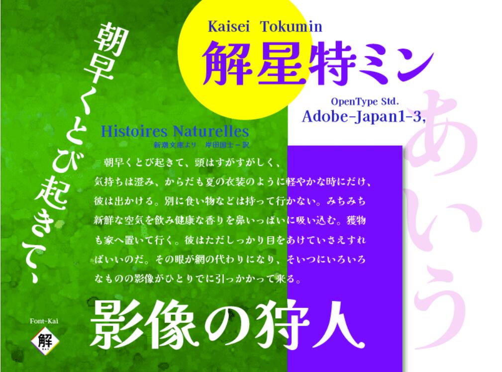 【解星系列字体】比传统明朝风格更粗,电子媒体可读性更佳