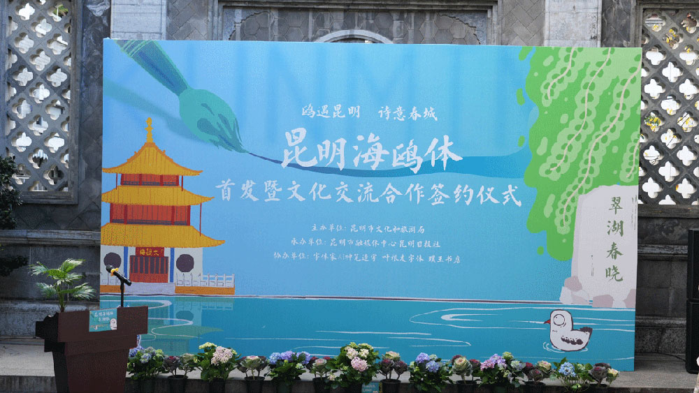 【昆明海鸥体】全国首款城市定制型海鸥主题字体