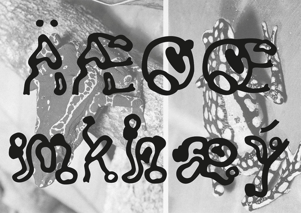 【kaeru kaeru】灵感来自箭毒蛙与日本木刻画的字体