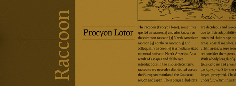 【Prociono】带有哥特体元素的罗马衬线字体