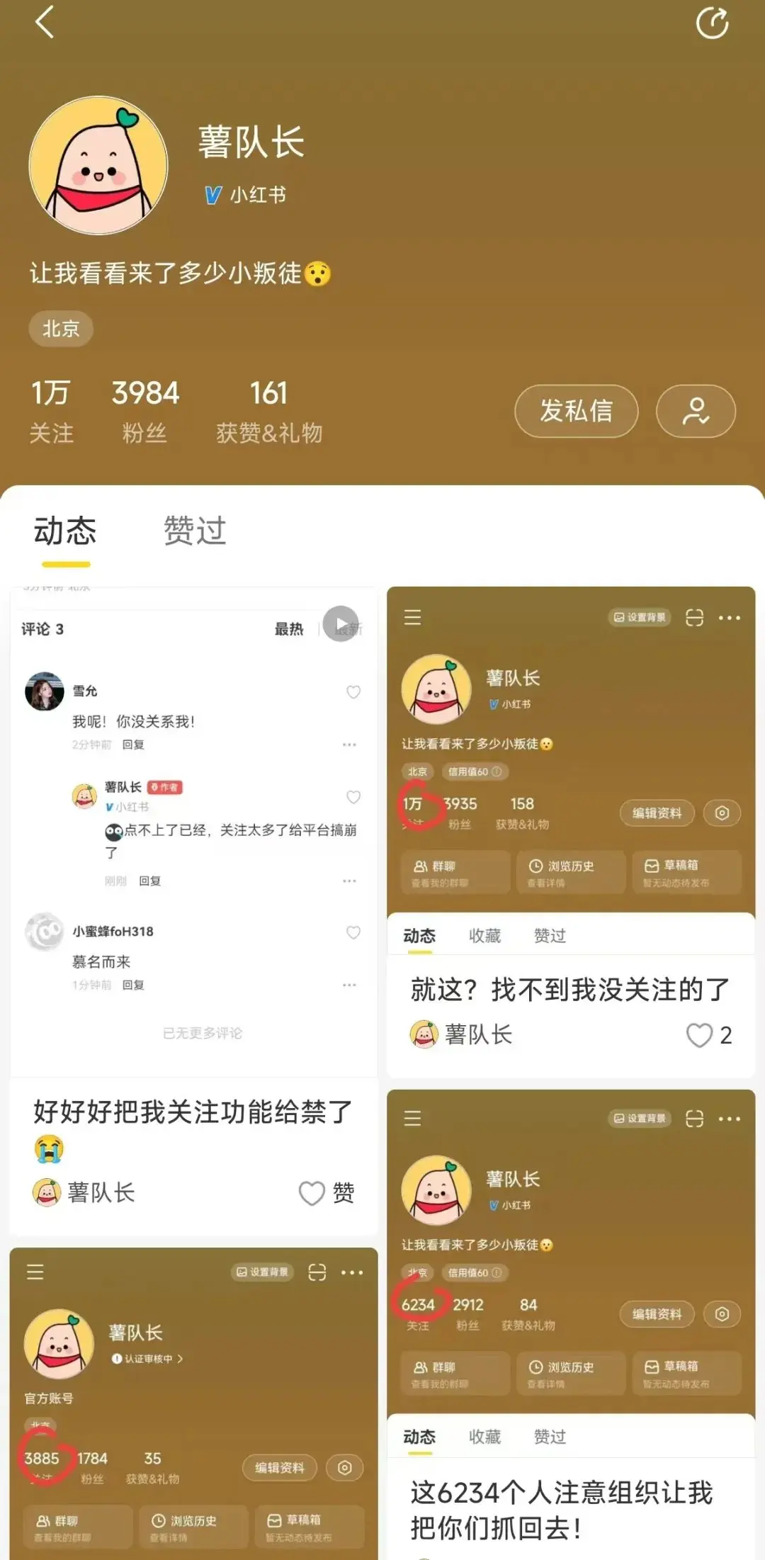 小红书弃子,逐梦网易小蜜蜂