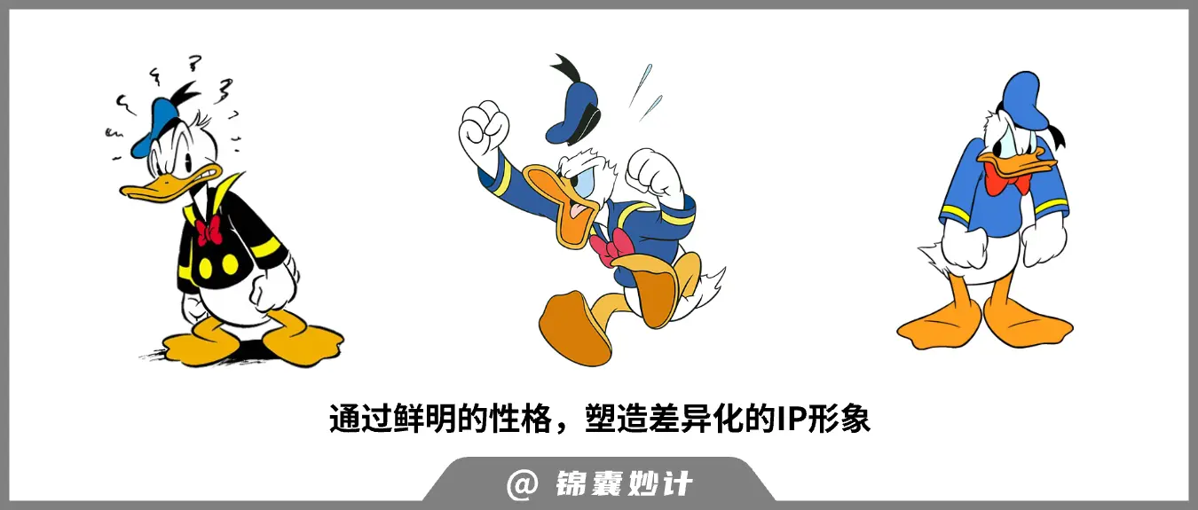 IP到底是什么?一文讲清IP设计的底层逻辑