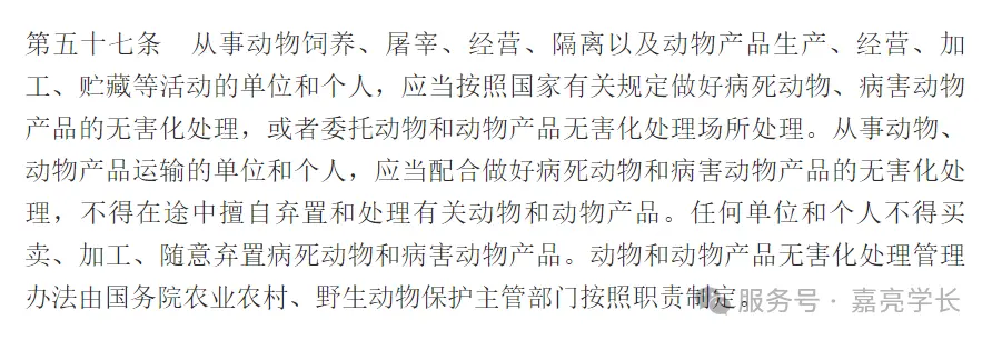 宠物殡葬+寺庙经济:中国已经迎来爆发期