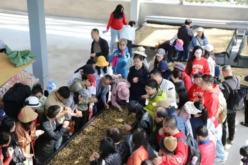 县城消费觉醒,掀开万亿掘金潮