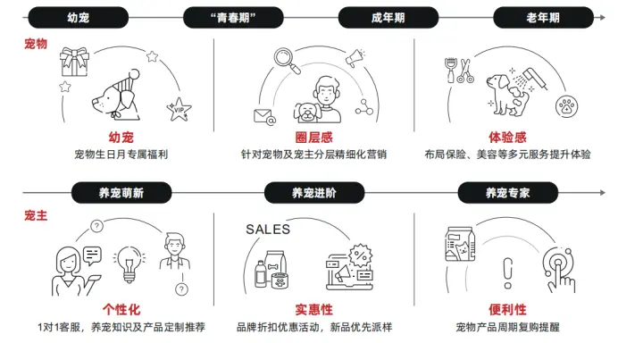 2025顺势而为:聚焦宠物消费赛道,打造自身强势品牌