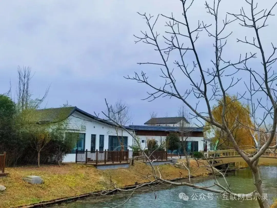 下沉市场的故事:像“野草”一般有韧性,才能创业赚钱