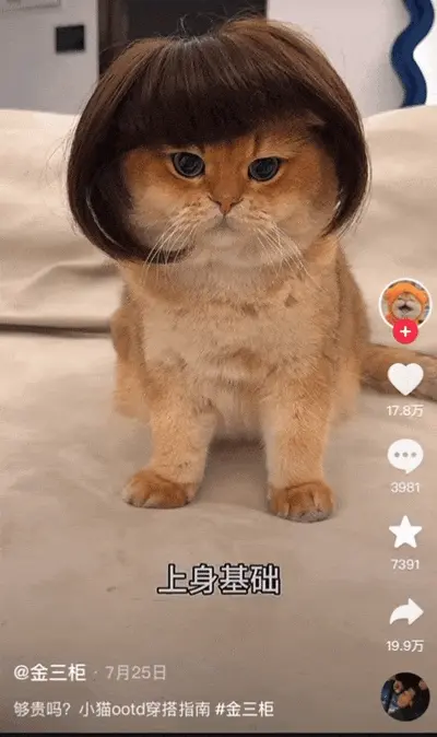 “XX基础，XX就不基础” ，如何引发抽象狂欢？