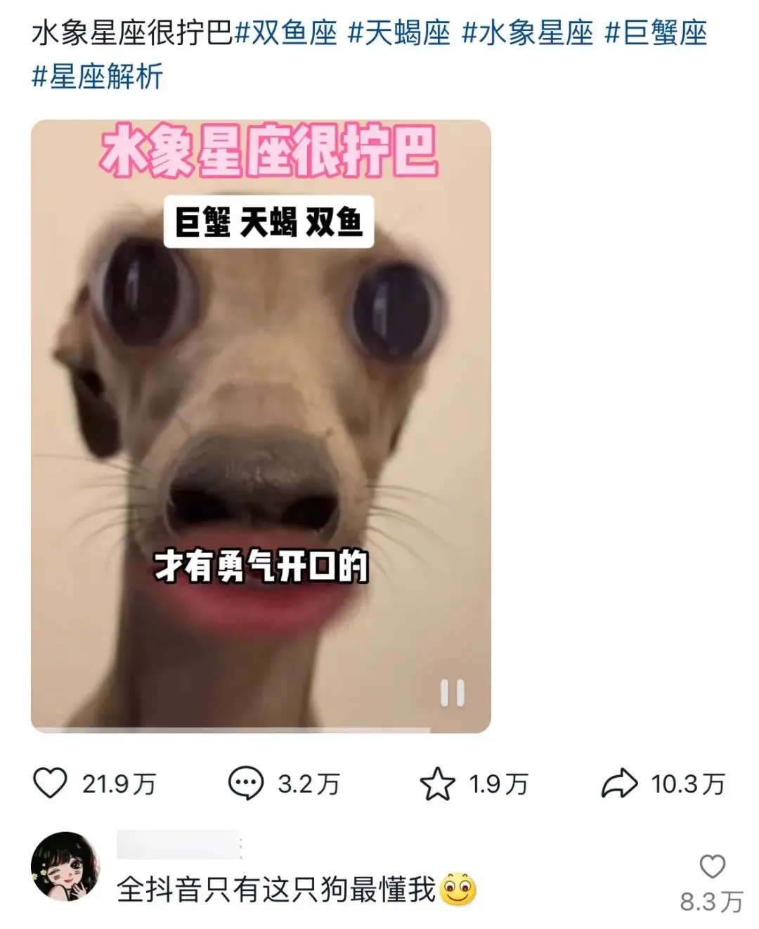 i人和e人还没完呢,怎么又开始浓人和淡人了?