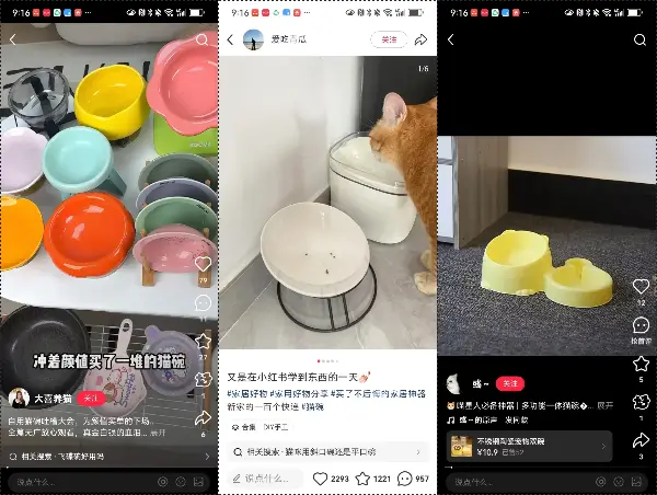 普通人电商创业实战复盘,宠物品类从0到月销150单全流程操作详解