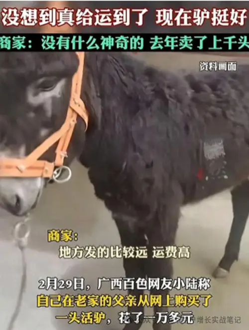 打破经验主义,让数字化回归到生意本质,用对方法让便利店人效提升220%