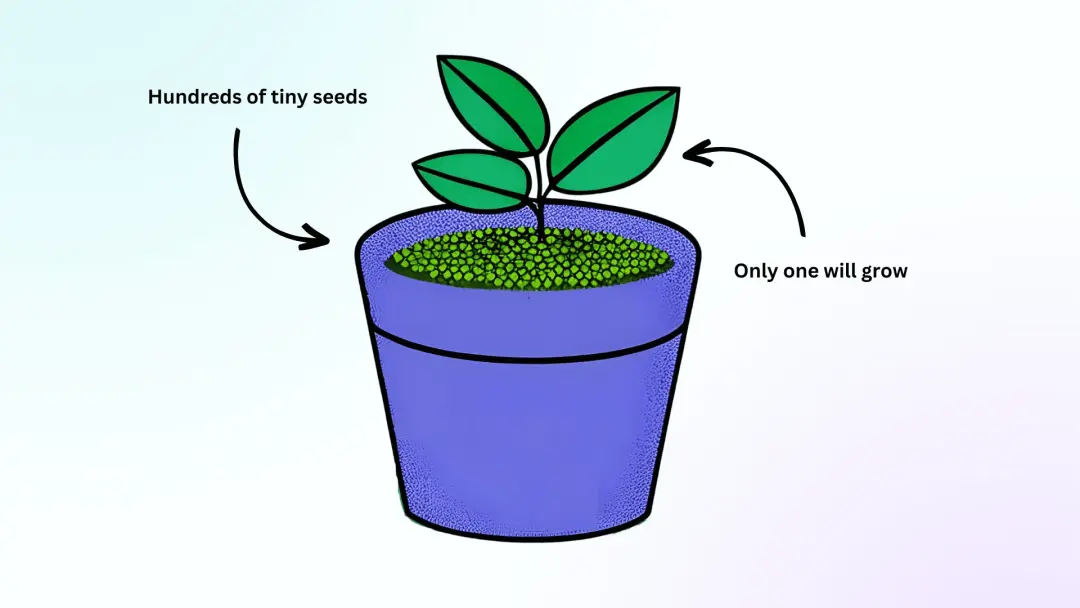 PLG：产品驱动增长的真相与误区