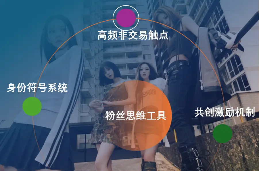 从 “流量收割” 到 “资产增值”:SM 的 “粉丝思维” 如何让用户终身价值翻 10 倍?