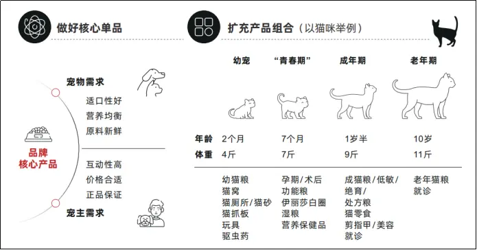 2025顺势而为:聚焦宠物消费赛道,打造自身强势品牌