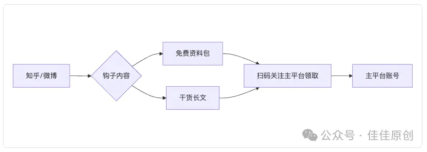 30天涨粉10万实战指南:揭秘算法、内容与传播的底层逻辑