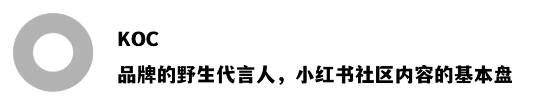 8300字拆解KOC、素人和营销号的协同投放(一手案例落地方法直给)