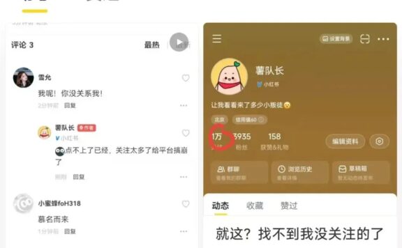 小红书弃子,逐梦网易小蜜蜂