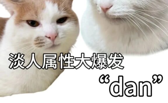 i人和e人还没完呢,怎么又开始浓人和淡人了?