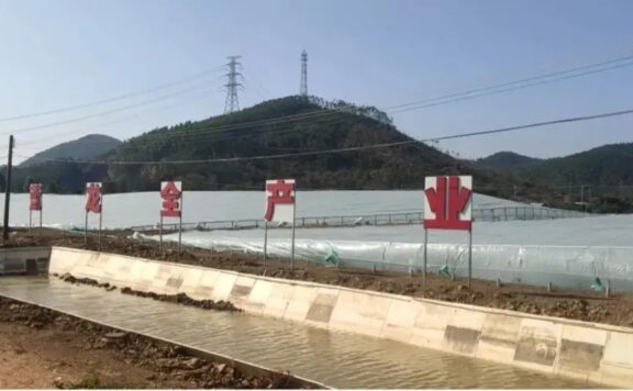 下沉市场的故事:像“野草”一般有韧性,才能创业赚钱